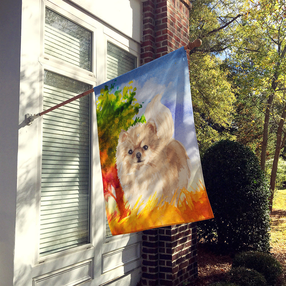 Fall Pomeranian House Flag 28x40 Porch Sleeve Pole Decorative Outside Yard Banner Artwork Wall Hanging, Polyester