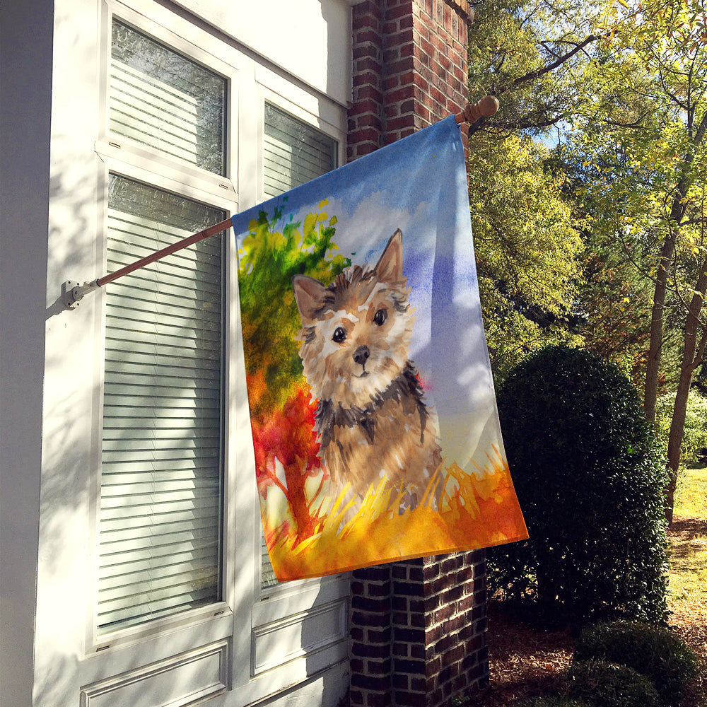 Fall Norwich Terrier House Flag 28x40 Porch Sleeve Pole Decorative Outside Yard Banner Artwork Wall Hanging, Polyester