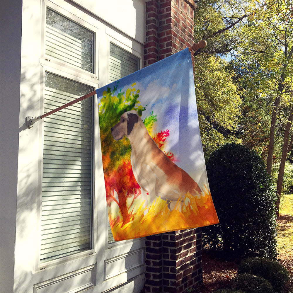 Fall Great Dane House Flag 28x40 Porch Sleeve Pole Decorative Outside Yard Banner Artwork Wall Hanging, Polyester