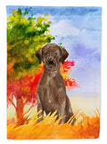 Fall Chocolate Labrador Retriever House Flag 28x40 Porch Sleeve Pole Decorative Outside Yard Banner Artwork Wall Hanging, Polyester