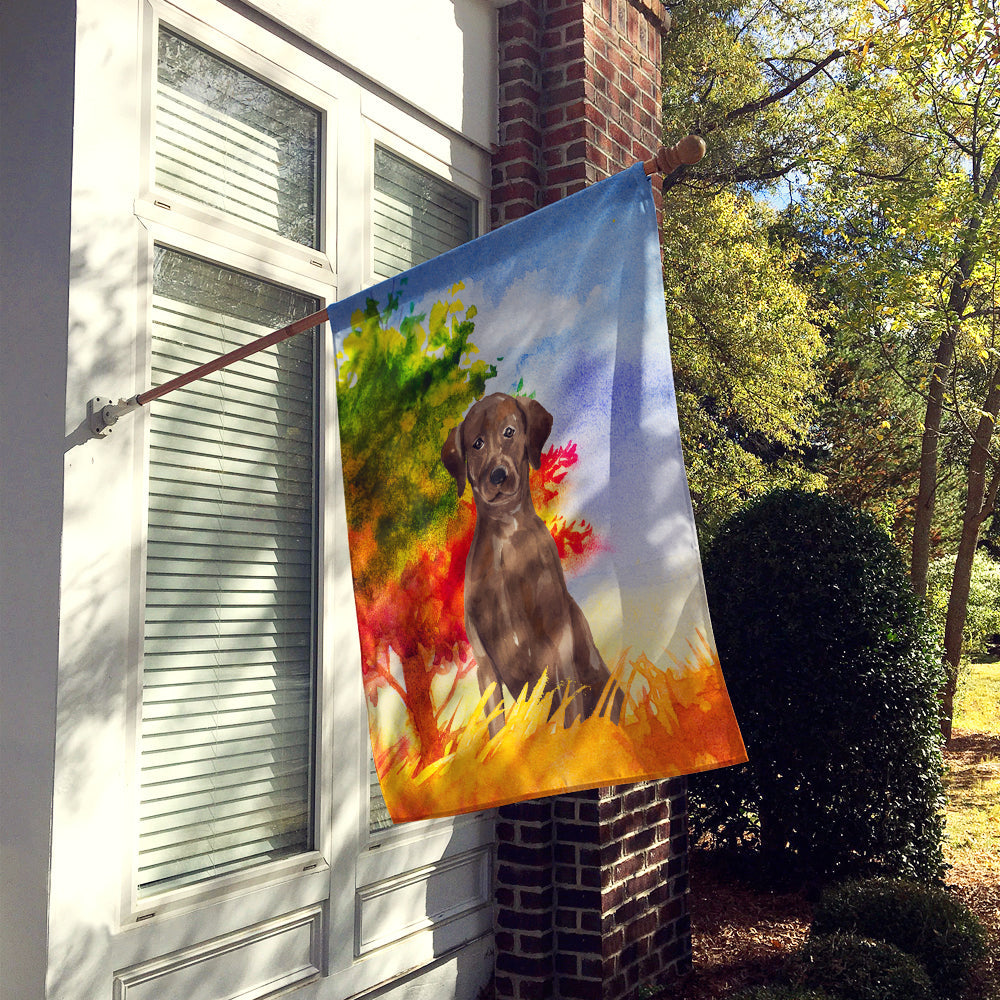 Fall Chocolate Labrador Retriever House Flag 28x40 Porch Sleeve Pole Decorative Outside Yard Banner Artwork Wall Hanging, Polyester