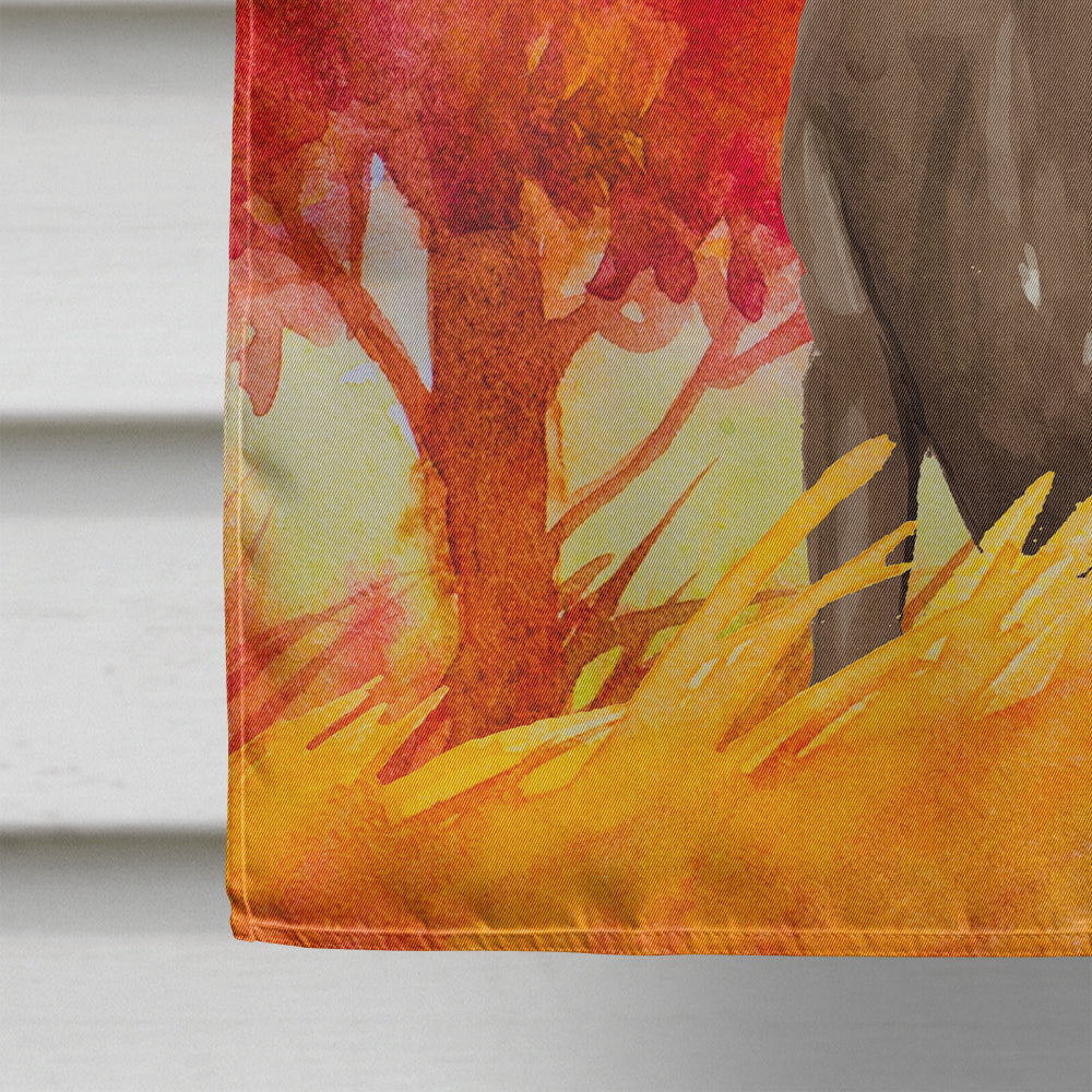 Fall Chocolate Labrador Retriever House Flag 28x40 Porch Sleeve Pole Decorative Outside Yard Banner Artwork Wall Hanging, Polyester