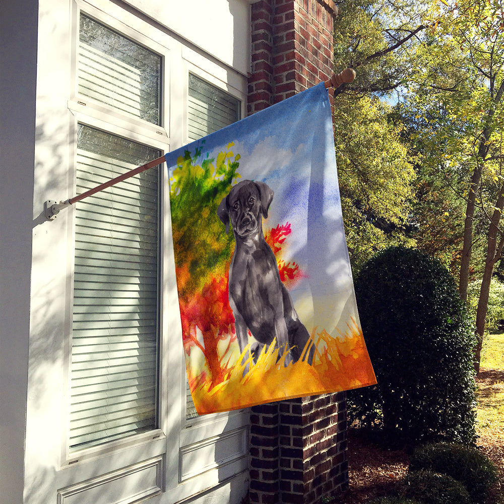 Fall Black Labrador Retriever House Flag 28x40 Porch Sleeve Pole Decorative Outside Yard Banner Artwork Wall Hanging, Polyester