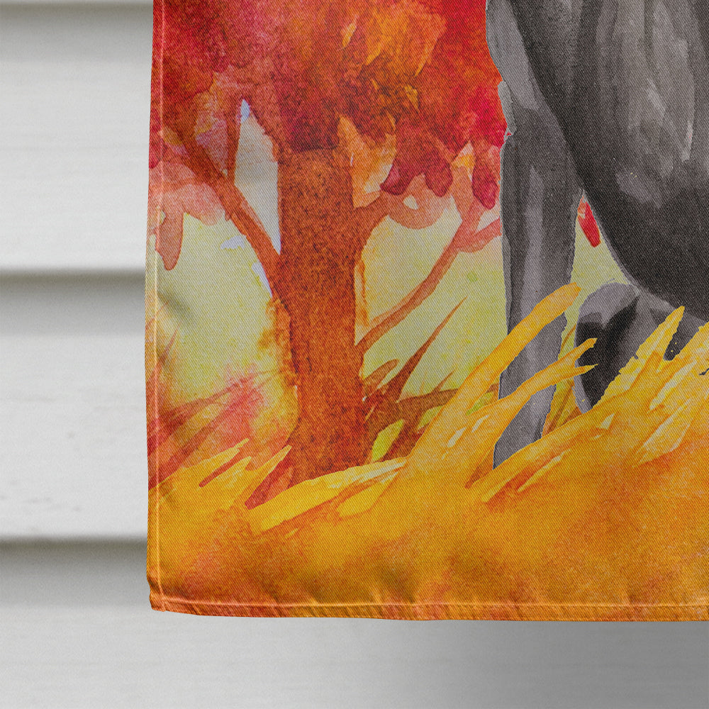 Fall Black Labrador Retriever House Flag 28x40 Porch Sleeve Pole Decorative Outside Yard Banner Artwork Wall Hanging, Polyester