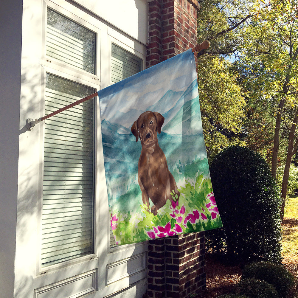 Mountian Flowers Chocolate Lab House Flag 28x40 Porch Sleeve Pole Decorative Outside Yard Banner Artwork Wall Hanging, Polyester