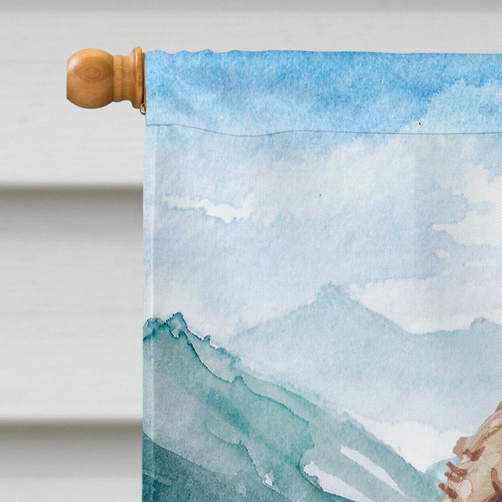 Mountian Flowers Labradoodle House Flag 28x40 Porch Sleeve Pole Decorative Outside Yard Banner Artwork Wall Hanging, Polyester