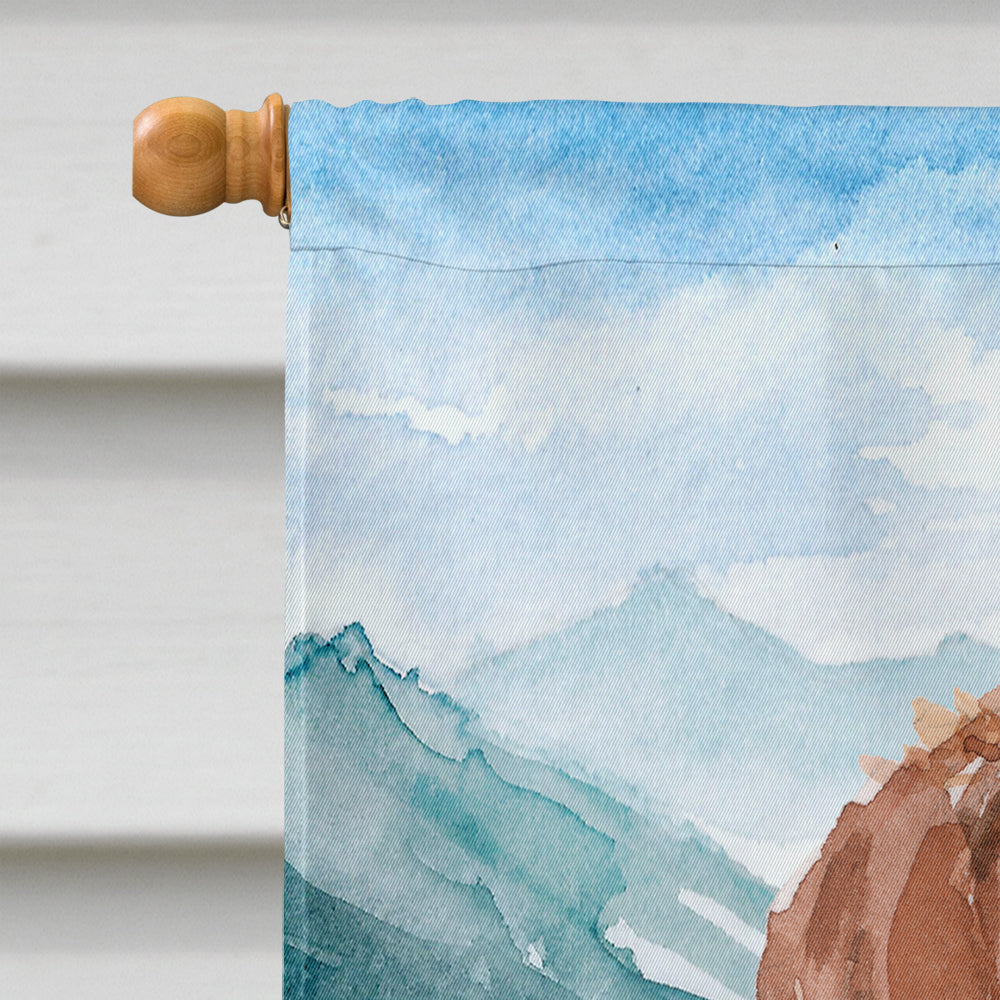Mountian Flowers Brittany Spaniel House Flag 28x40 Porch Sleeve Pole Decorative Outside Yard Banner Artwork Wall Hanging, Polyester