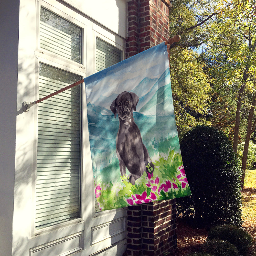 Mountian Flowers Black Lab House Flag 28x40 Porch Sleeve Pole Decorative Outside Yard Banner Artwork Wall Hanging, Polyester