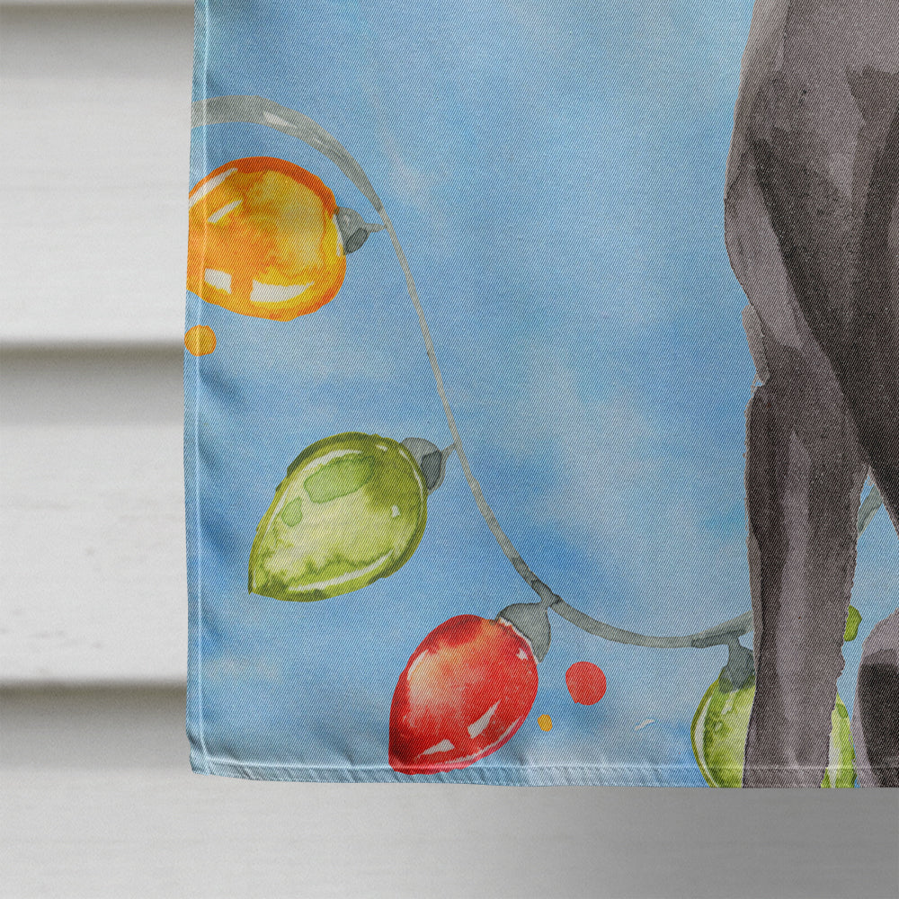 Christmas Lights Black Labrador Retriever House Flag 28x40 Porch Sleeve Pole Decorative Outside Yard Banner Artwork Wall Hanging, Polyester