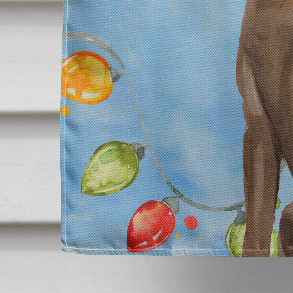 Christmas Lights Chocolate Labrador Retriever House Flag 28x40 Porch Sleeve Pole Decorative Outside Yard Banner Artwork Wall Hanging, Polyester