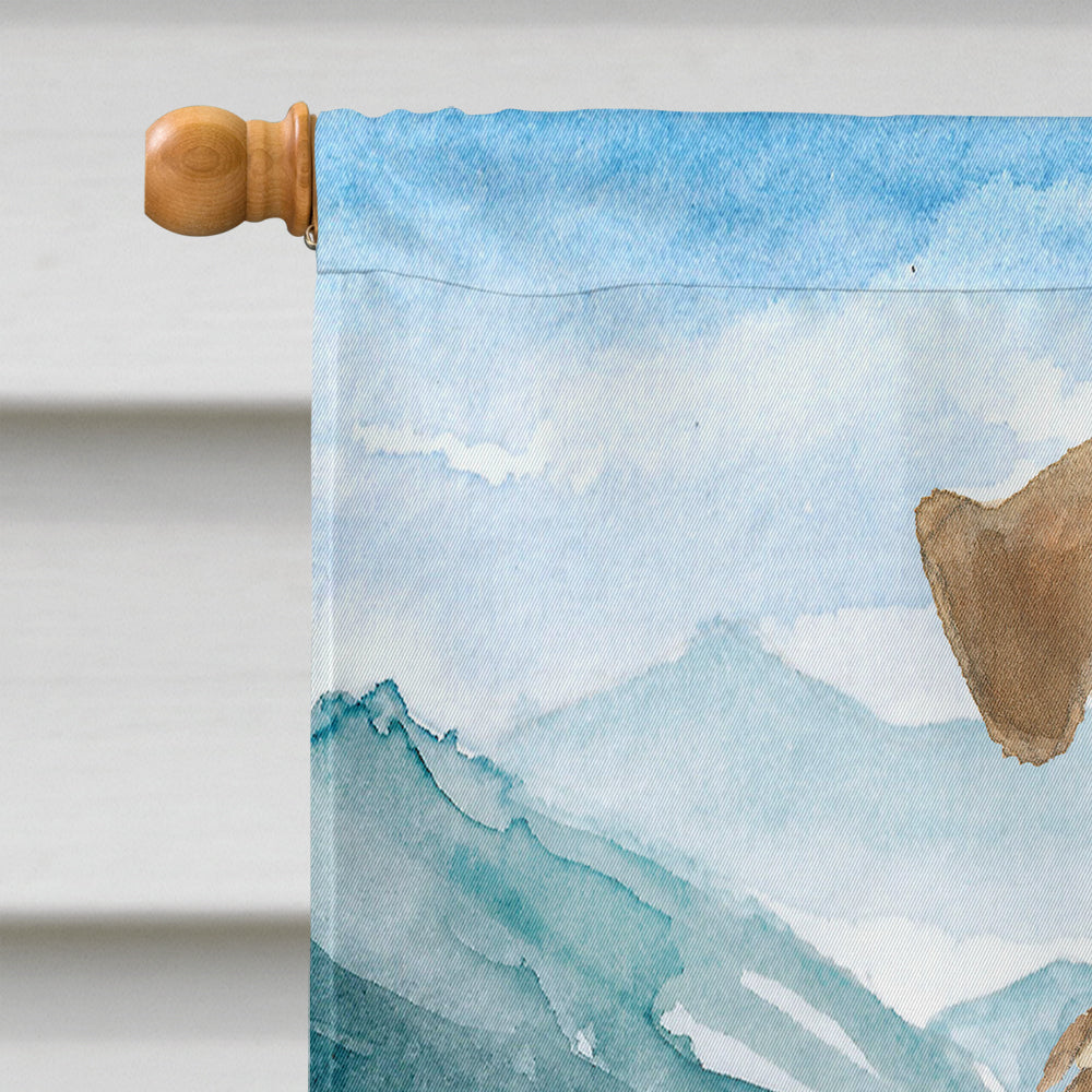 Mountian Flowers Welsh Terrier House Flag 28x40 Porch Sleeve Pole Decorative Outside Yard Banner Artwork Wall Hanging, Polyester