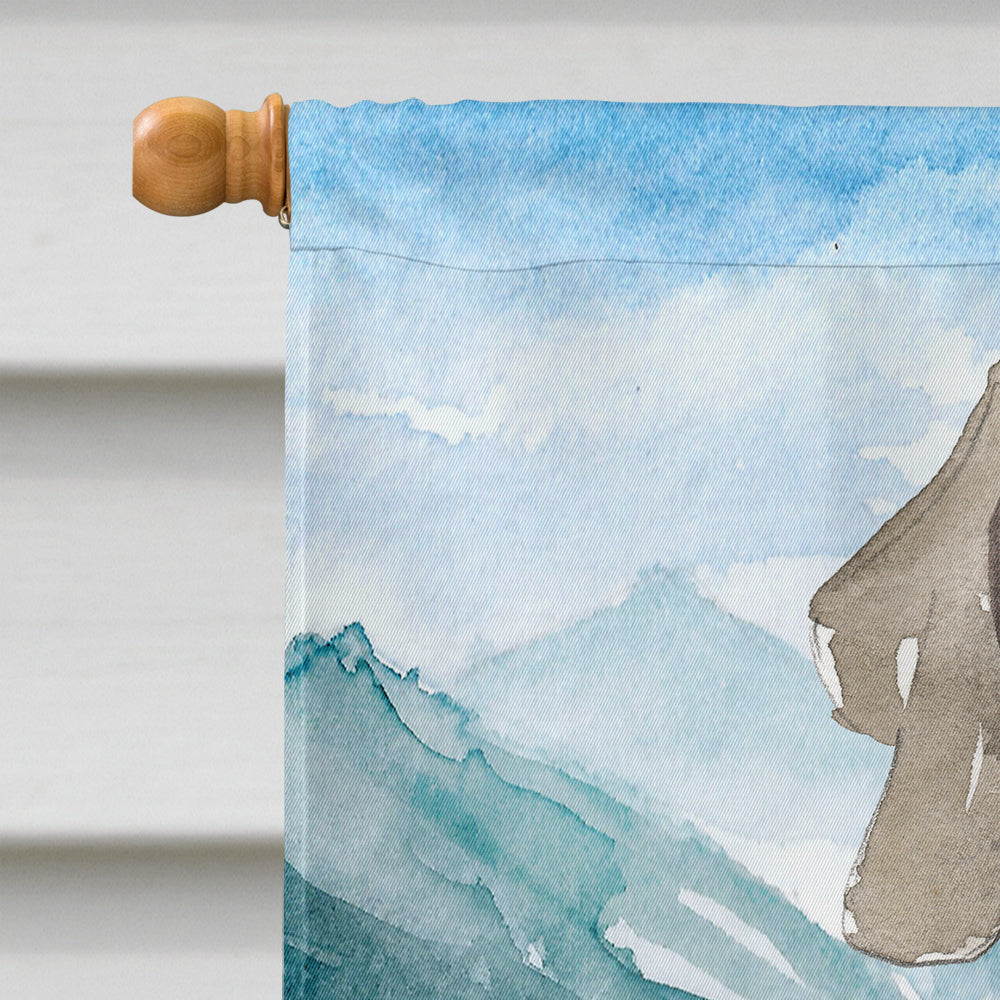 Mountian Flowers Weimaraner House Flag 28x40 Porch Sleeve Pole Decorative Outside Yard Banner Artwork Wall Hanging, Polyester