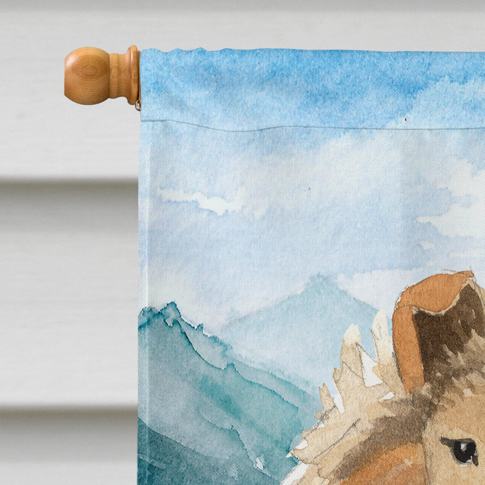 Mountain Flowers Smooth Collie House Flag 28x40 Porch Sleeve Pole Decorative Outside Yard Banner Artwork Wall Hanging, Polyester