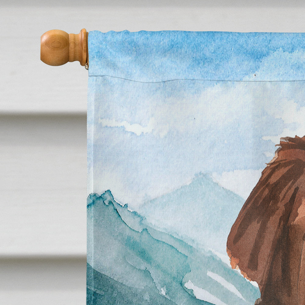 Mountain Flowers Newfoundland House Flag 28x40 Porch Sleeve Pole Decorative Outside Yard Banner Artwork Wall Hanging, Polyester