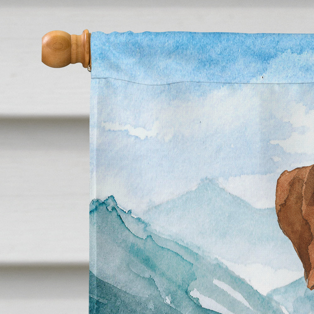 Mountain Flowers Boxer House Flag 28x40 Porch Sleeve Pole Decorative Outside Yard Banner Artwork Wall Hanging, Polyester