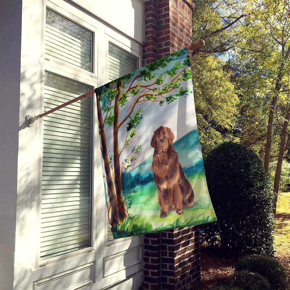Under the Tree Newfoundland House Flag 28x40 Porch Sleeve Pole Decorative Outside Yard Banner Artwork Wall Hanging, Polyester