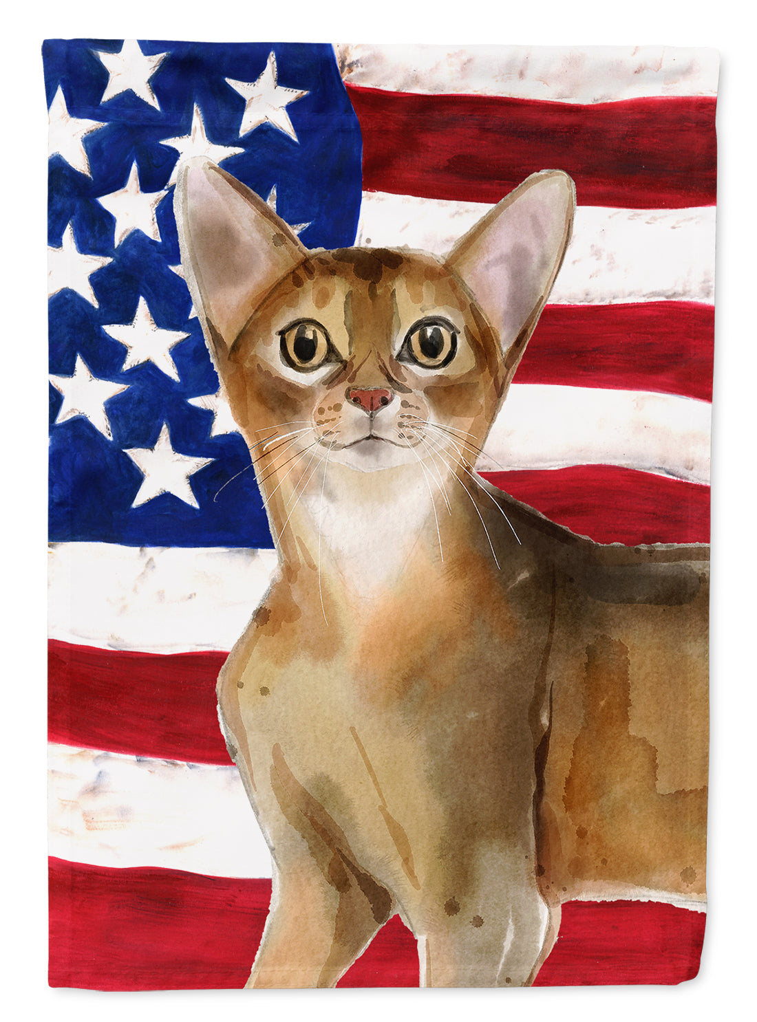 Abyssinian American Flag House Flag 28x40 Porch Sleeve Pole Decorative Outside Yard Banner Artwork Wall Hanging, Polyester