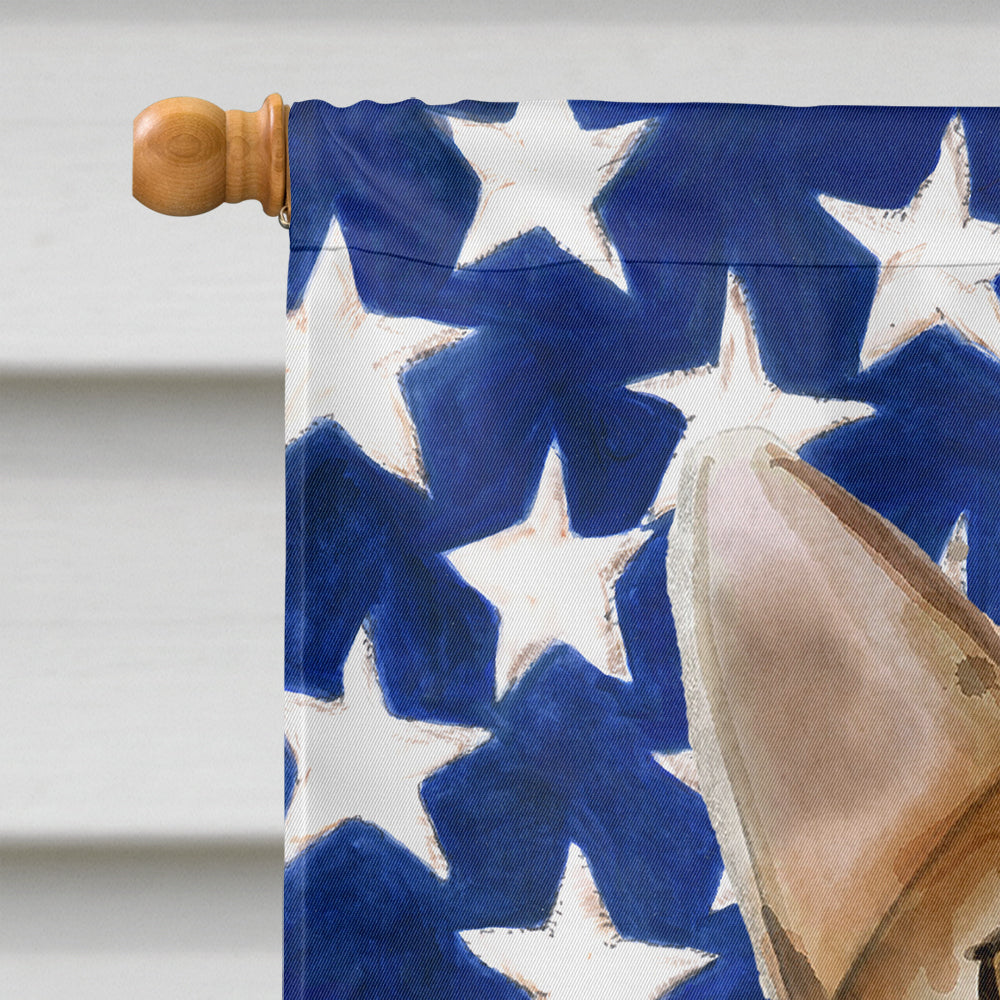 Abyssinian American Flag House Flag 28x40 Porch Sleeve Pole Decorative Outside Yard Banner Artwork Wall Hanging, Polyester