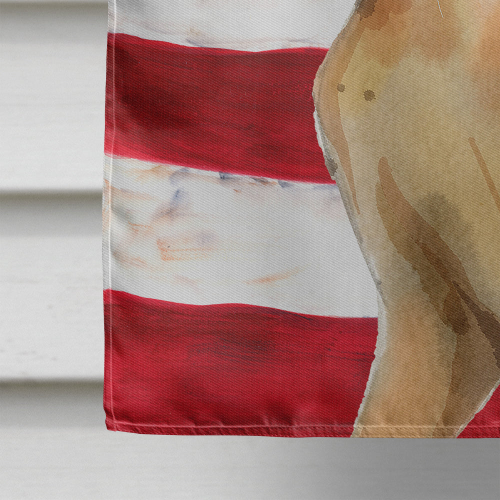 Abyssinian American Flag House Flag 28x40 Porch Sleeve Pole Decorative Outside Yard Banner Artwork Wall Hanging, Polyester