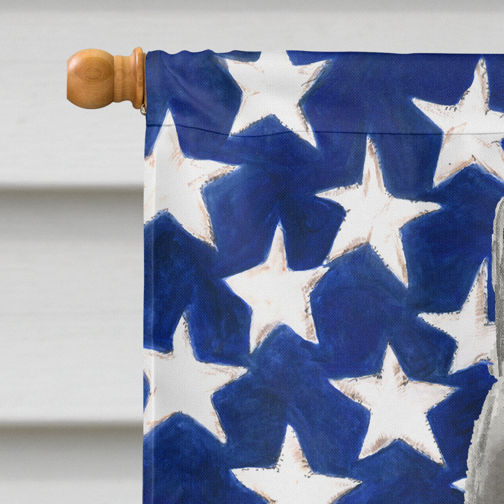 British Shorthair American Flag House Flag 28x40 Porch Sleeve Pole Decorative Outside Yard Banner Artwork Wall Hanging, Polyester