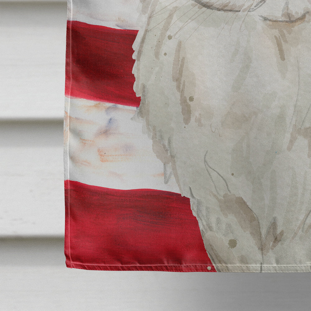 Persian American Flag House Flag 28x40 Porch Sleeve Pole Decorative Outside Yard Banner Artwork Wall Hanging, Polyester