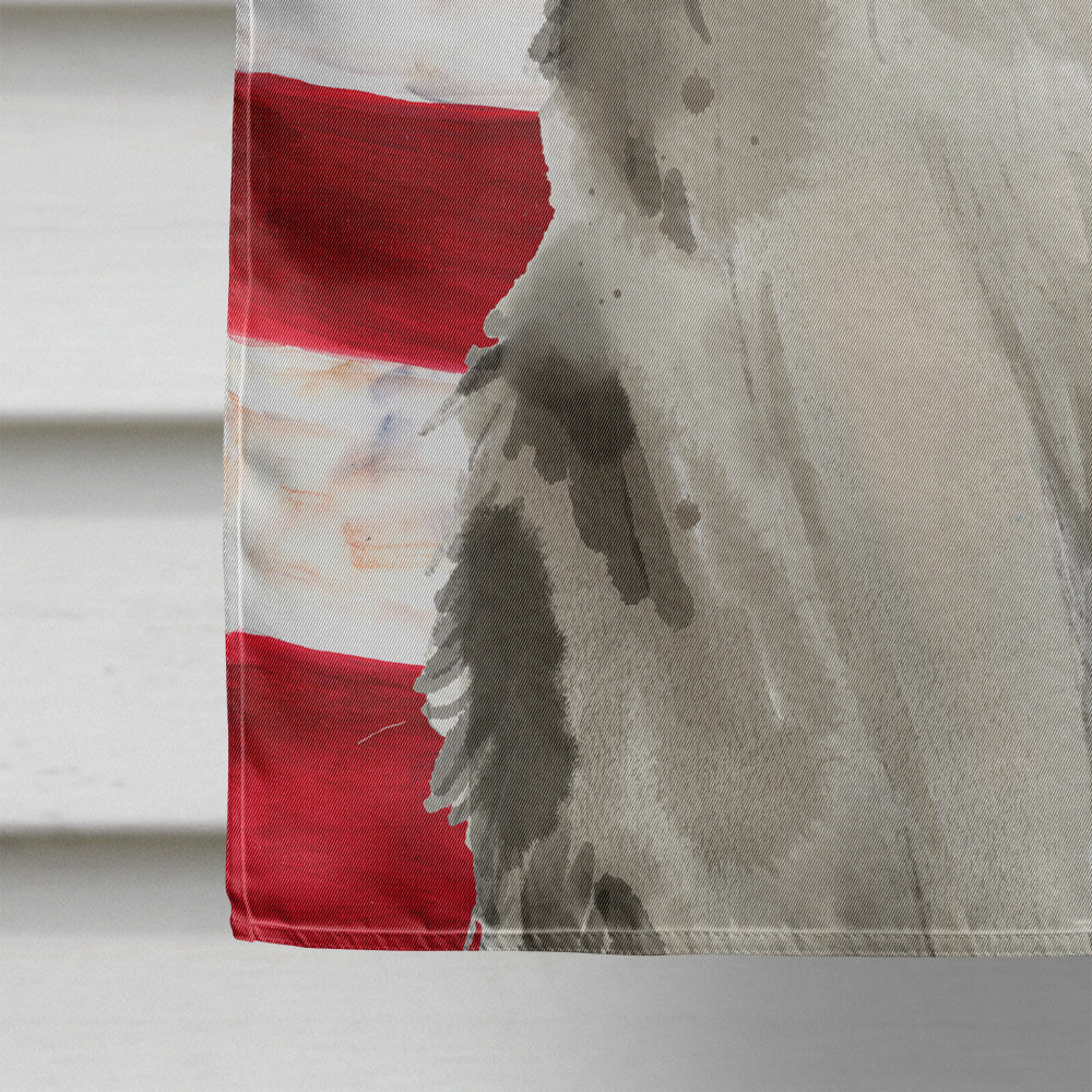 Ragamuffin American Flag House Flag 28x40 Porch Sleeve Pole Decorative Outside Yard Banner Artwork Wall Hanging, Polyester