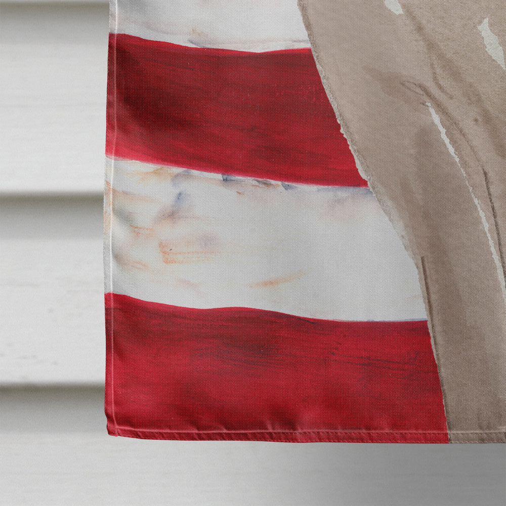 Tonkinese American Flag House Flag 28x40 Porch Sleeve Pole Decorative Outside Yard Banner Artwork Wall Hanging, Polyester
