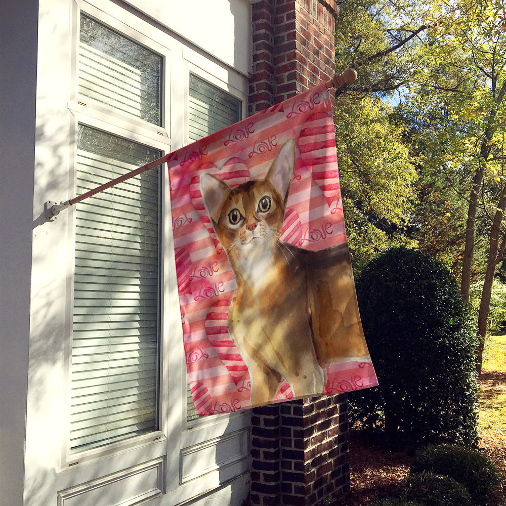 Abyssinian Cat Love House Flag 28x40 Porch Sleeve Pole Decorative Outside Yard Banner Artwork Wall Hanging, Polyester