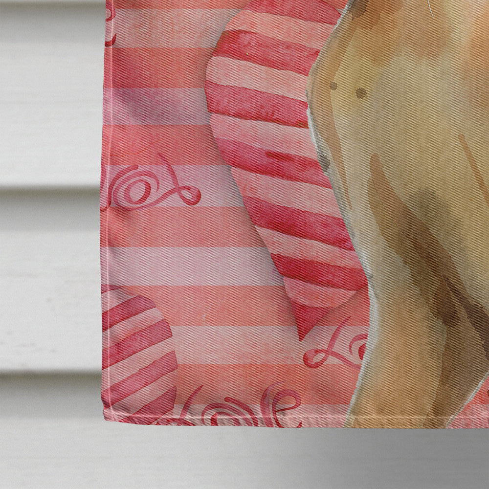 Abyssinian Cat Love House Flag 28x40 Porch Sleeve Pole Decorative Outside Yard Banner Artwork Wall Hanging, Polyester