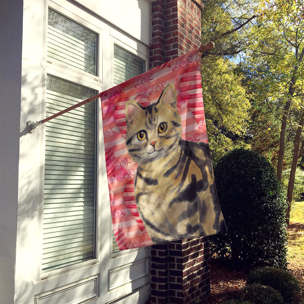 American Shorthair Brown Tabby Cat Love House Flag 28x40 Porch Sleeve Pole Decorative Outside Yard Banner Artwork Wall Hanging, Polyester