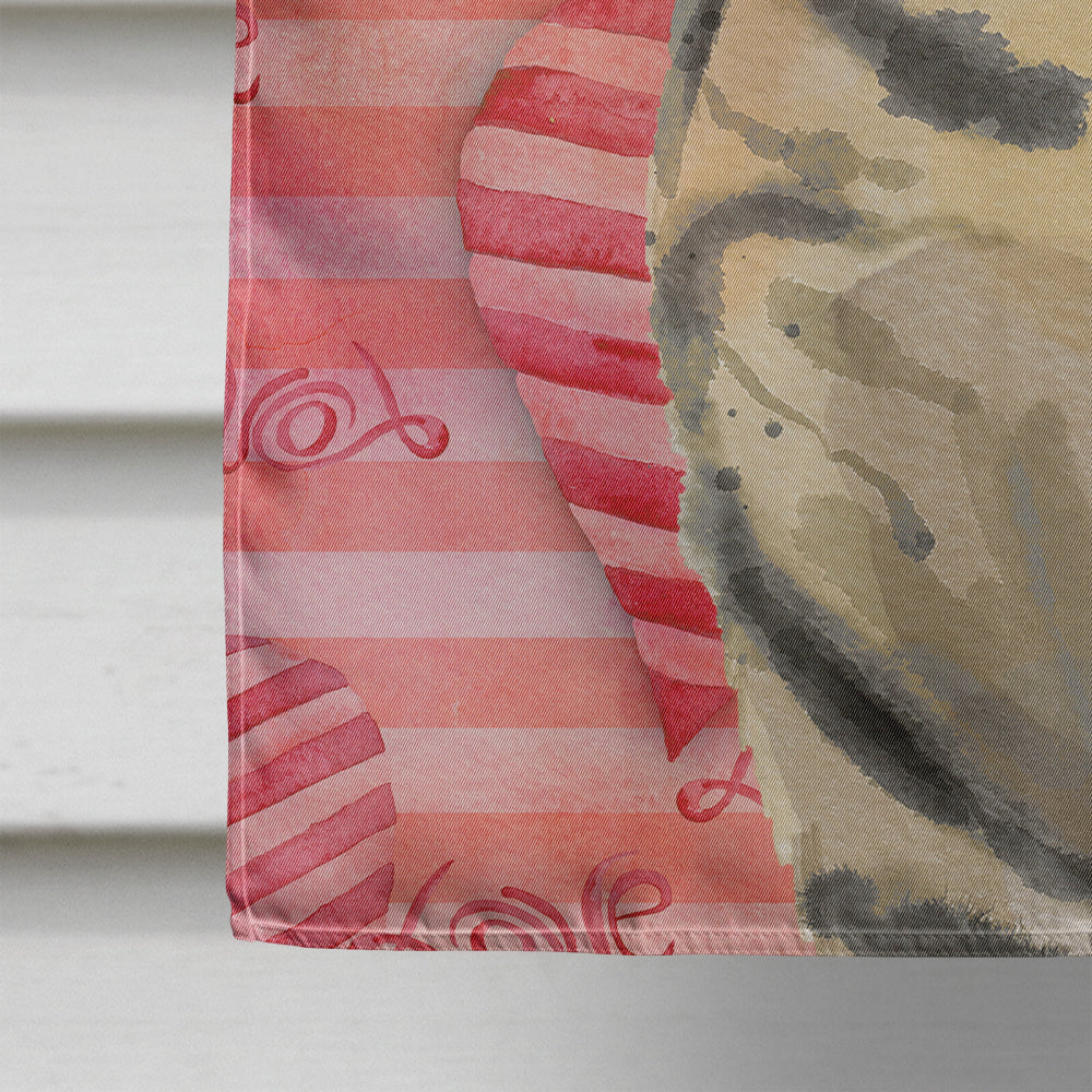American Shorthair Brown Tabby Cat Love House Flag 28x40 Porch Sleeve Pole Decorative Outside Yard Banner Artwork Wall Hanging, Polyester