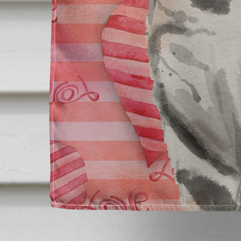 American Shorthair Cat Love House Flag 28x40 Porch Sleeve Pole Decorative Outside Yard Banner Artwork Wall Hanging, Polyester