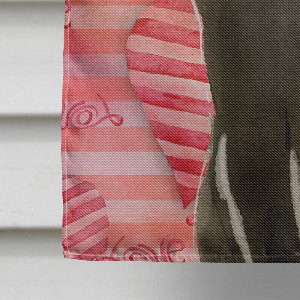 Bombay Cat Love House Flag 28x40 Porch Sleeve Pole Decorative Outside Yard Banner Artwork Wall Hanging, Polyester