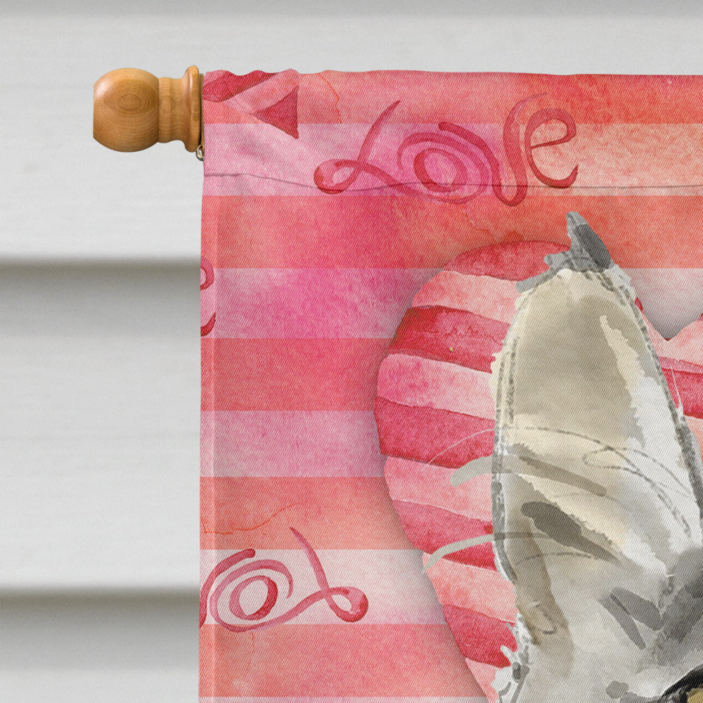 Maine Coon Cat Love House Flag 28x40 Porch Sleeve Pole Decorative Outside Yard Banner Artwork Wall Hanging, Polyester
