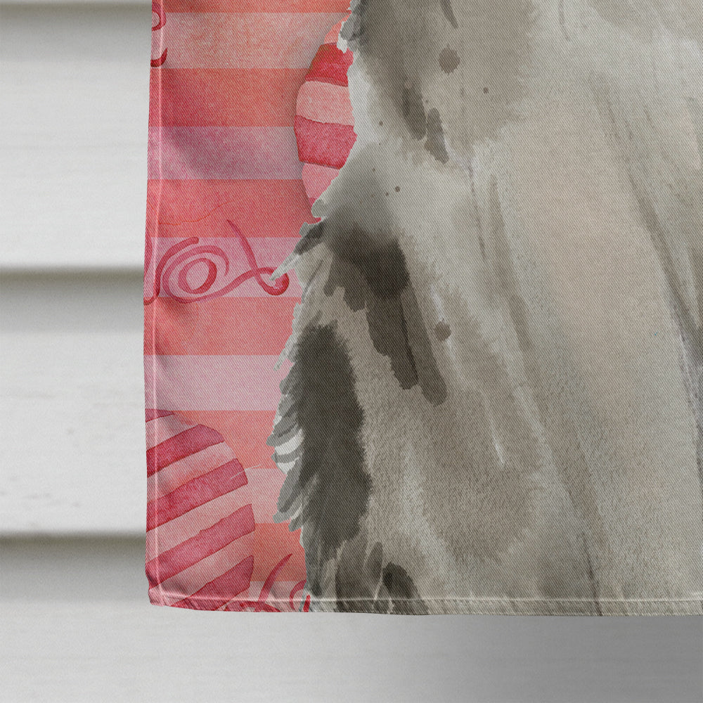 Ragamuffin Cat Love House Flag 28x40 Porch Sleeve Pole Decorative Outside Yard Banner Artwork Wall Hanging, Polyester