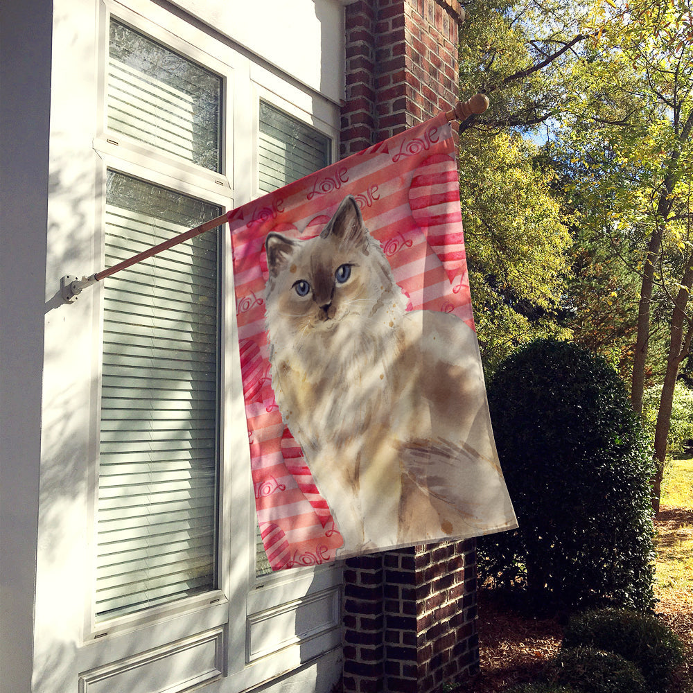 Ragdoll Cat Love House Flag 28x40 Porch Sleeve Pole Decorative Outside Yard Banner Artwork Wall Hanging, Polyester