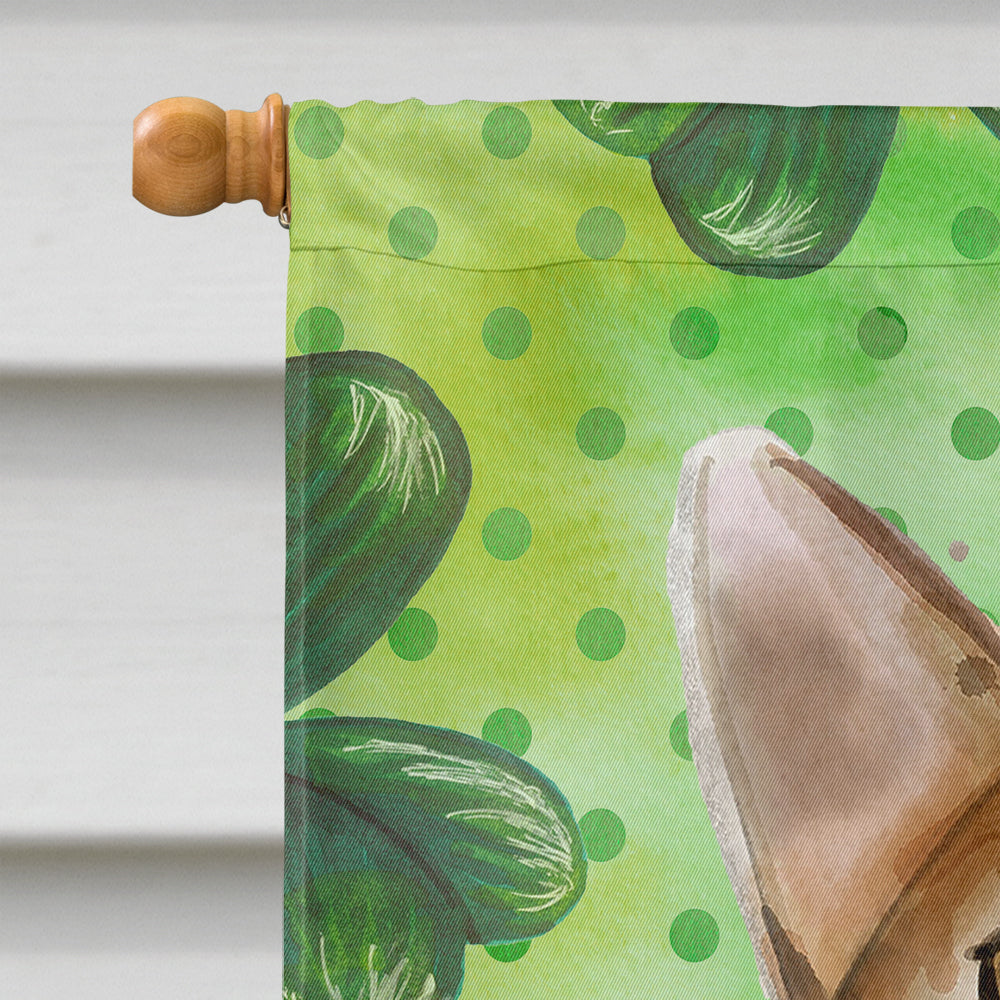 Abyssinian Shamrock House Flag 28x40 Porch Sleeve Pole Decorative Outside Yard Banner Artwork Wall Hanging, Polyester