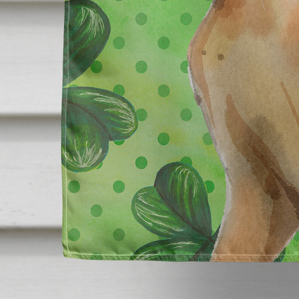 Abyssinian Shamrock House Flag 28x40 Porch Sleeve Pole Decorative Outside Yard Banner Artwork Wall Hanging, Polyester