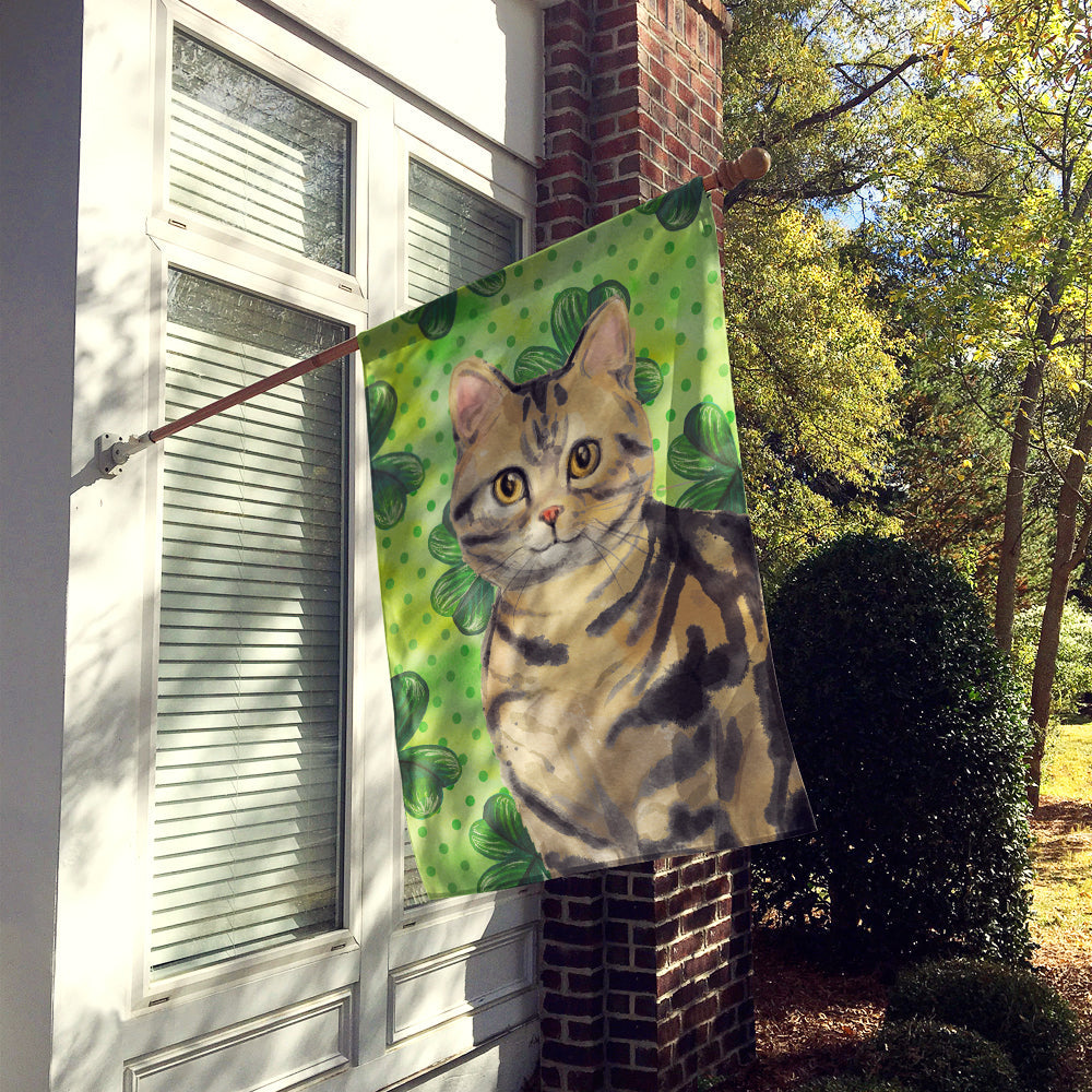 American Shorthair Brown Tabby Shamrock House Flag 28x40 Porch Sleeve Pole Decorative Outside Yard Banner Artwork Wall Hanging, Polyester
