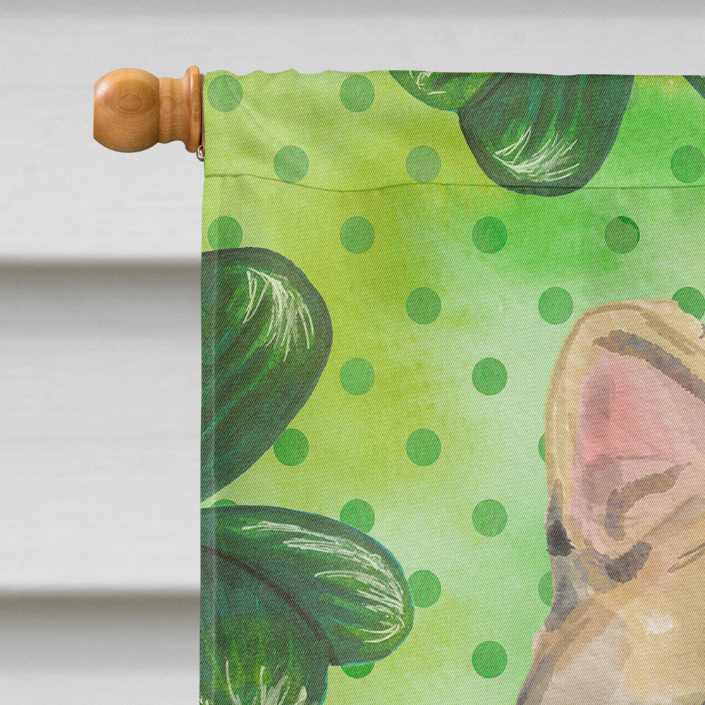 American Shorthair Brown Tabby Shamrock House Flag 28x40 Porch Sleeve Pole Decorative Outside Yard Banner Artwork Wall Hanging, Polyester