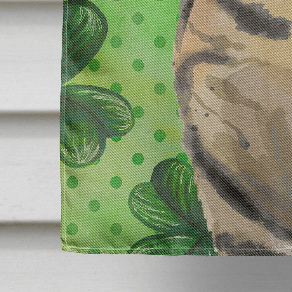 American Shorthair Brown Tabby Shamrock House Flag 28x40 Porch Sleeve Pole Decorative Outside Yard Banner Artwork Wall Hanging, Polyester