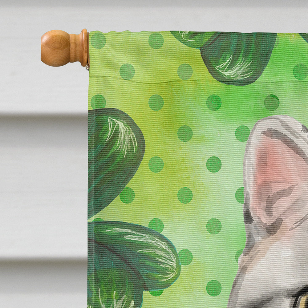 American Shorthair Shamrock House Flag 28x40 Porch Sleeve Pole Decorative Outside Yard Banner Artwork Wall Hanging, Polyester