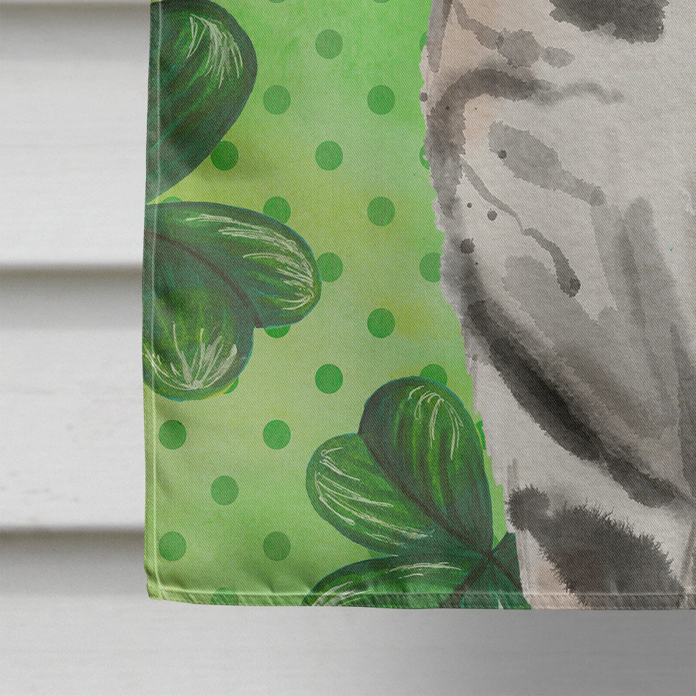 American Shorthair Shamrock House Flag 28x40 Porch Sleeve Pole Decorative Outside Yard Banner Artwork Wall Hanging, Polyester