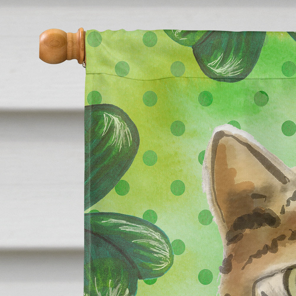 Bengal Shamrock House Flag 28x40 Porch Sleeve Pole Decorative Outside Yard Banner Artwork Wall Hanging, Polyester