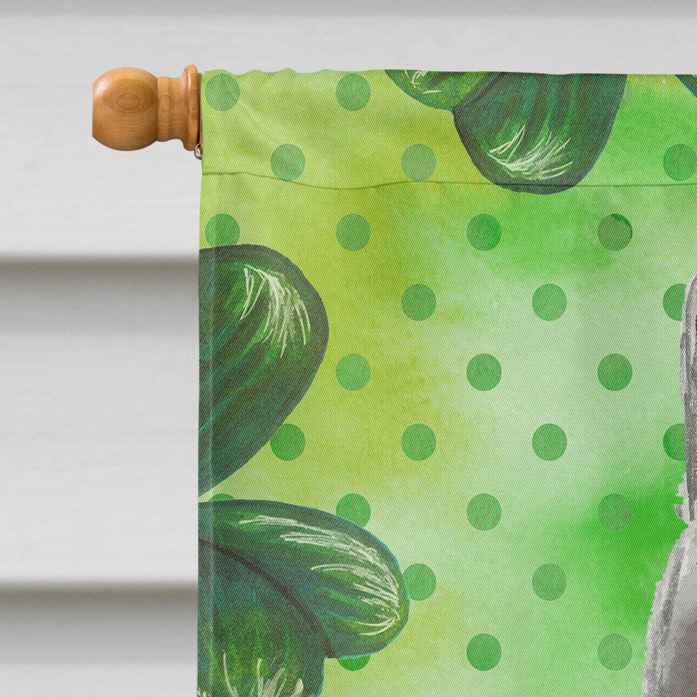 British Shorthair Shamrock House Flag 28x40 Porch Sleeve Pole Decorative Outside Yard Banner Artwork Wall Hanging, Polyester