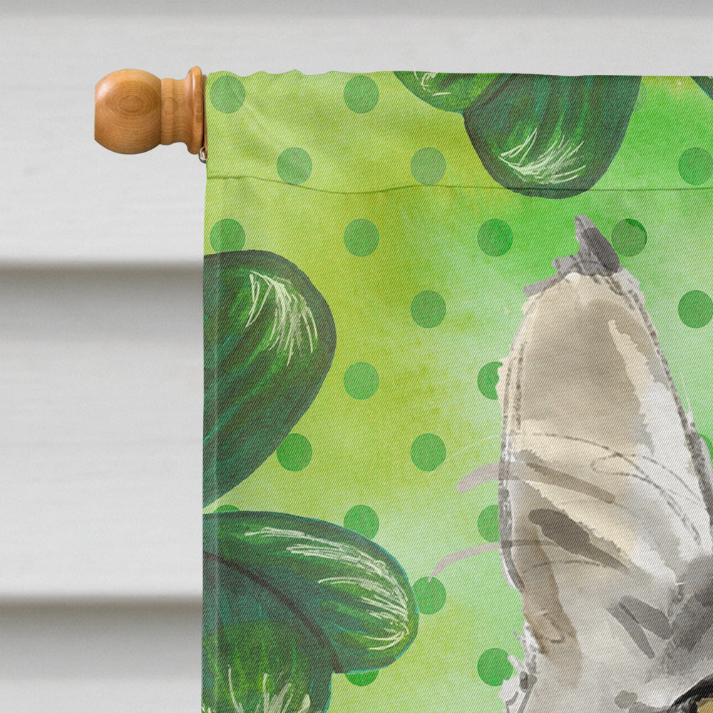 Maine Coon Shamrock House Flag 28x40 Porch Sleeve Pole Decorative Outside Yard Banner Artwork Wall Hanging, Polyester