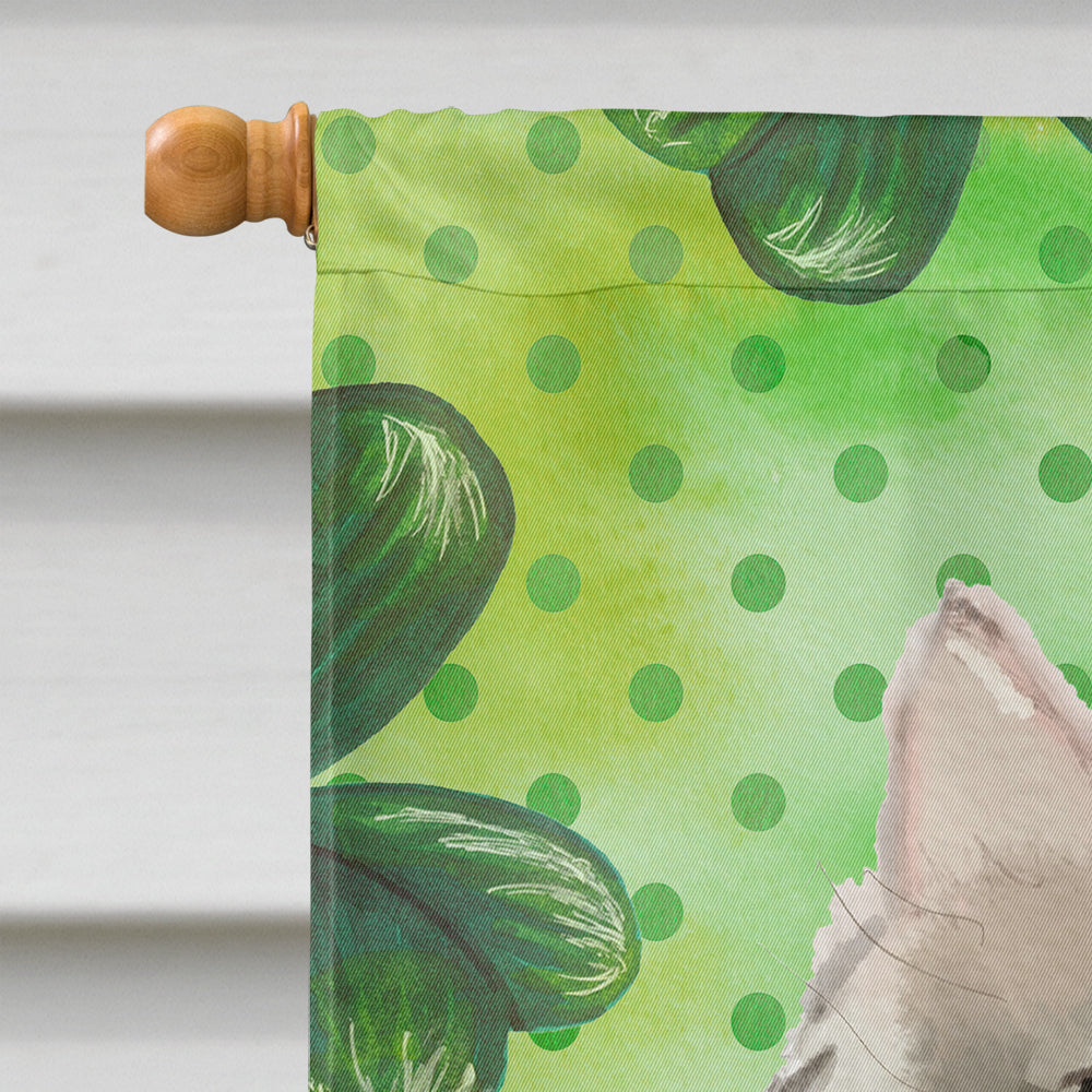Ragamuffin Shamrock House Flag 28x40 Porch Sleeve Pole Decorative Outside Yard Banner Artwork Wall Hanging, Polyester