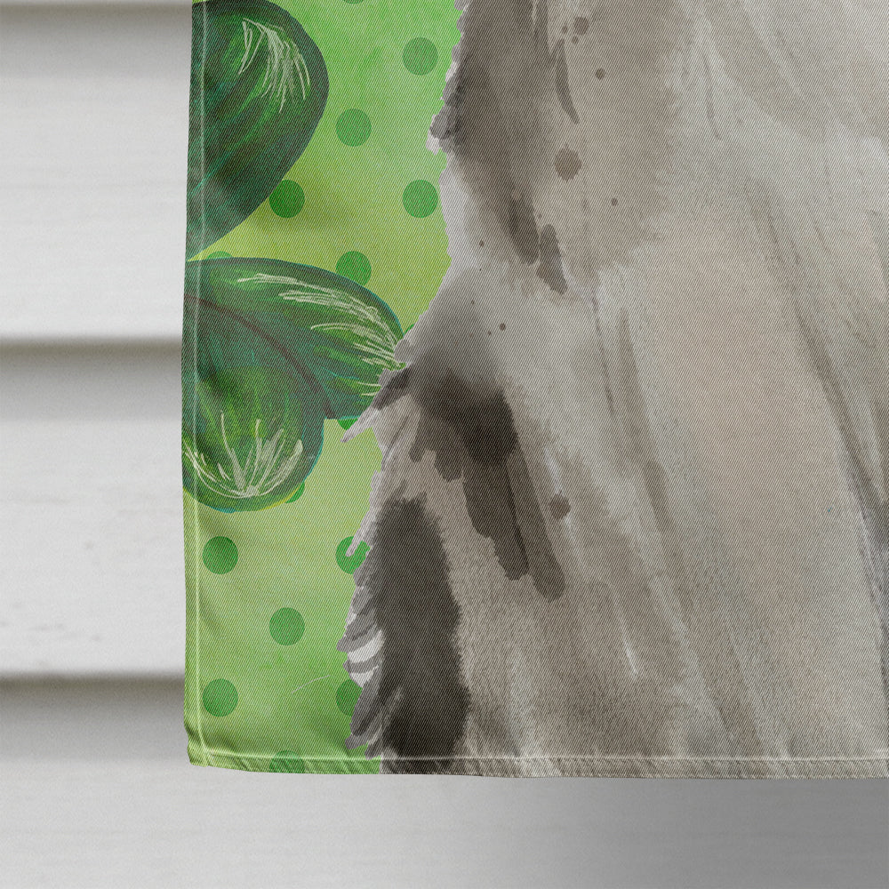 Ragamuffin Shamrock House Flag 28x40 Porch Sleeve Pole Decorative Outside Yard Banner Artwork Wall Hanging, Polyester