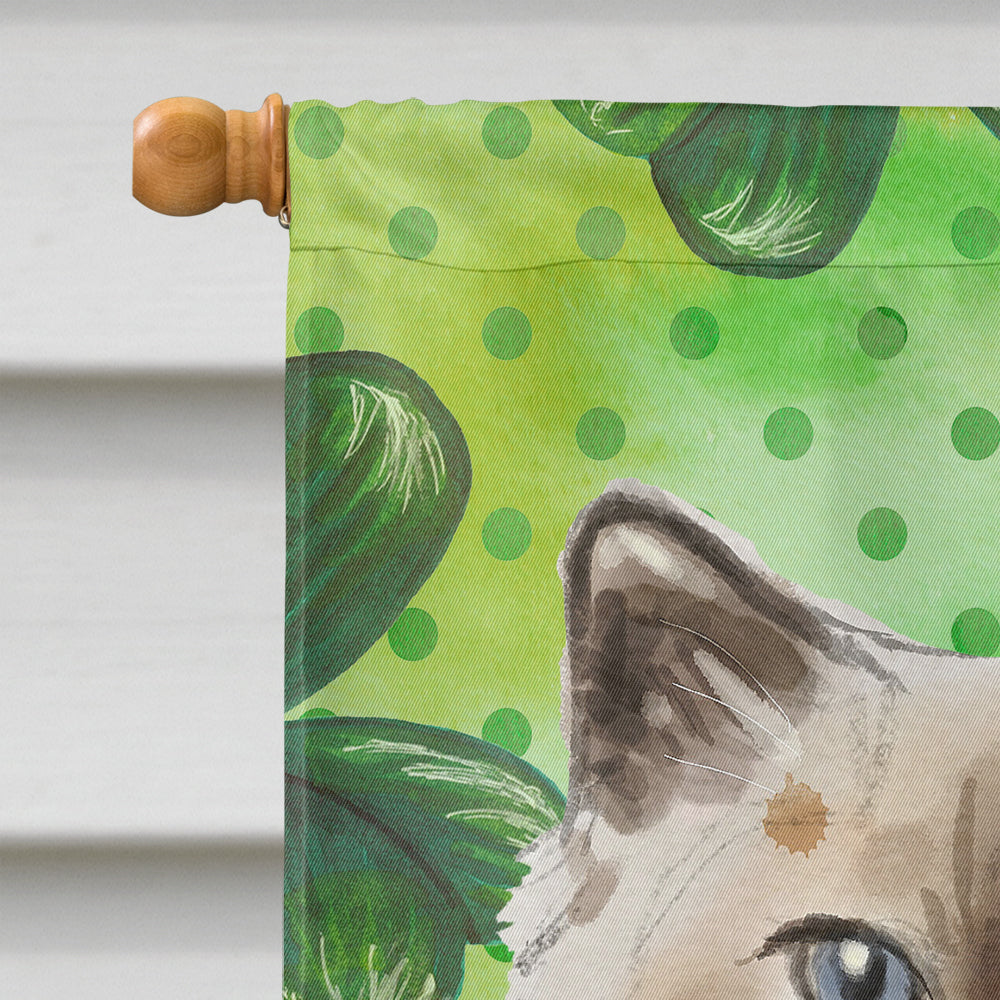 Ragdoll Shamrock House Flag 28x40 Porch Sleeve Pole Decorative Outside Yard Banner Artwork Wall Hanging, Polyester
