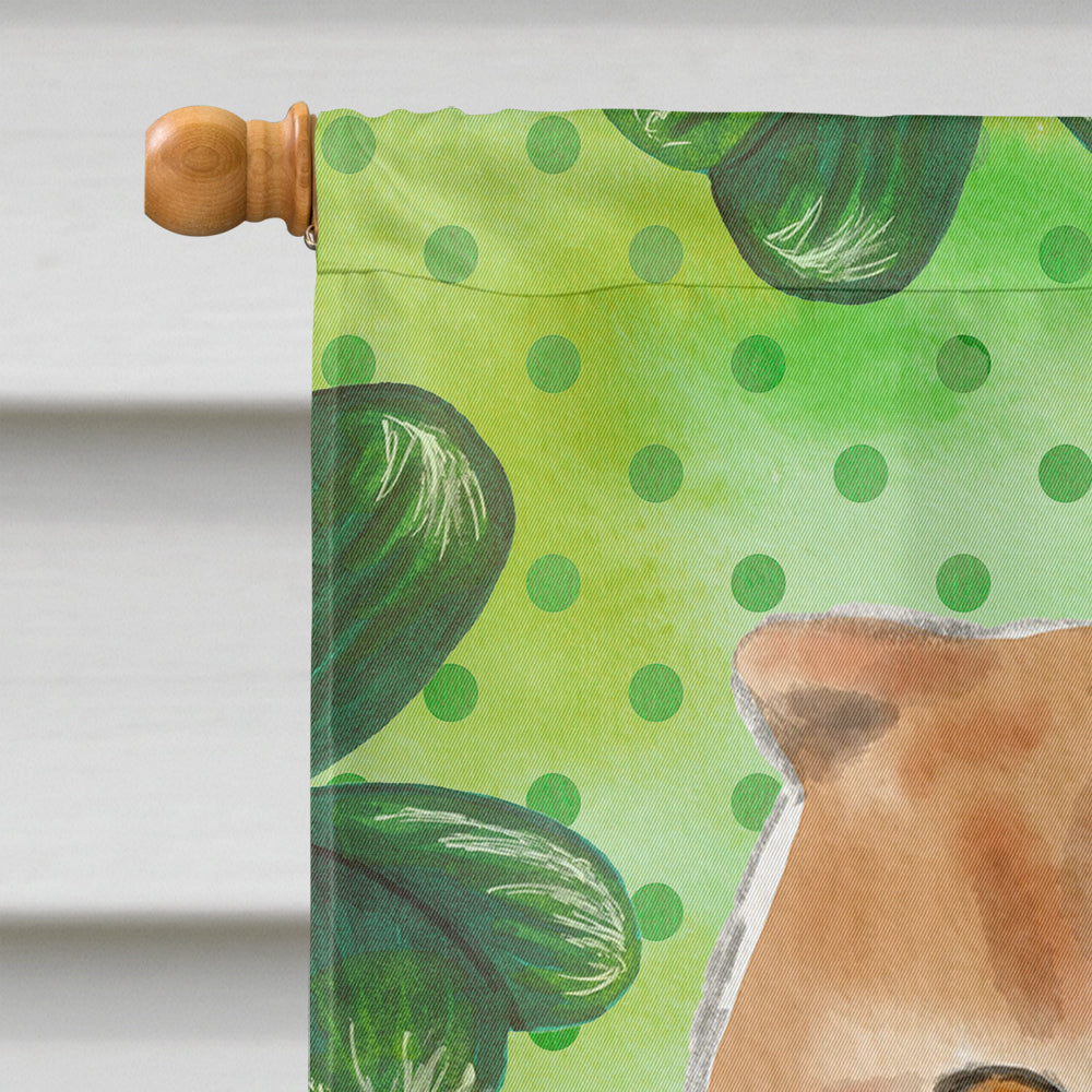 Scottish Fold Shamrock House Flag 28x40 Porch Sleeve Pole Decorative Outside Yard Banner Artwork Wall Hanging, Polyester